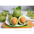 Kernel Nutritive Kernuts Light pezzi (LP)